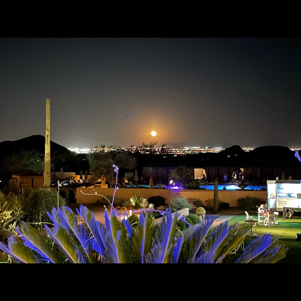 Meet your Posher, Kendis